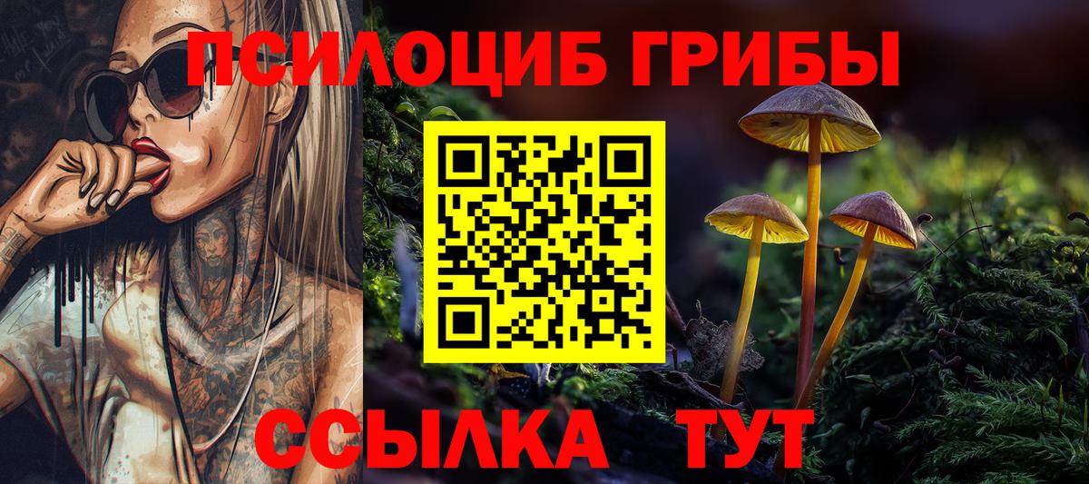 Псилоцибиновые грибы Magic Shrooms Гай