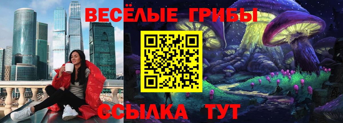 Галлюциногенные грибы прущие грибы  Галлюциногенные грибы ЛСД  Вход с VPN  Гай 